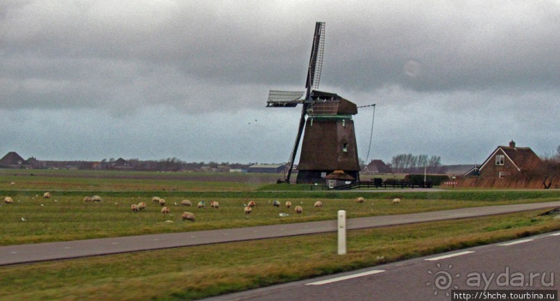 Декабрьские картинки Северной Голландии. Мельницы и другое