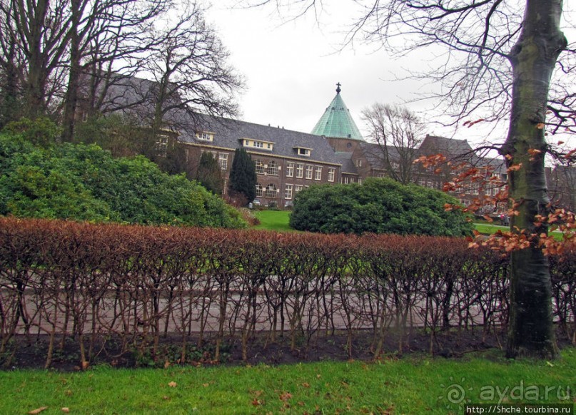 Декабрьские картинки Северной Голландии. Мельницы и другое