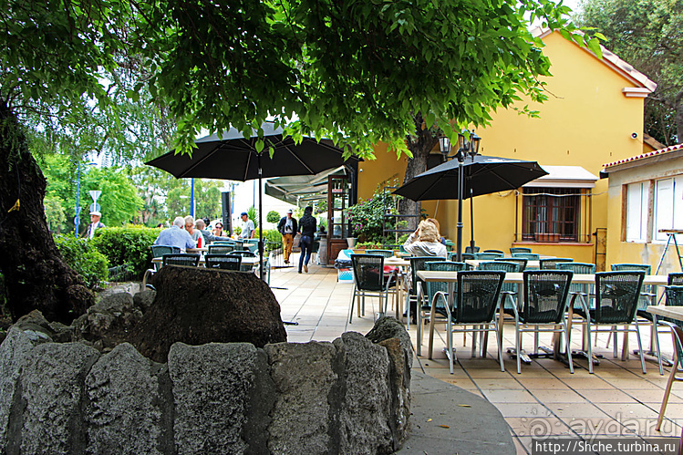 Ресторан с квази-лондонским именем и большой террасой