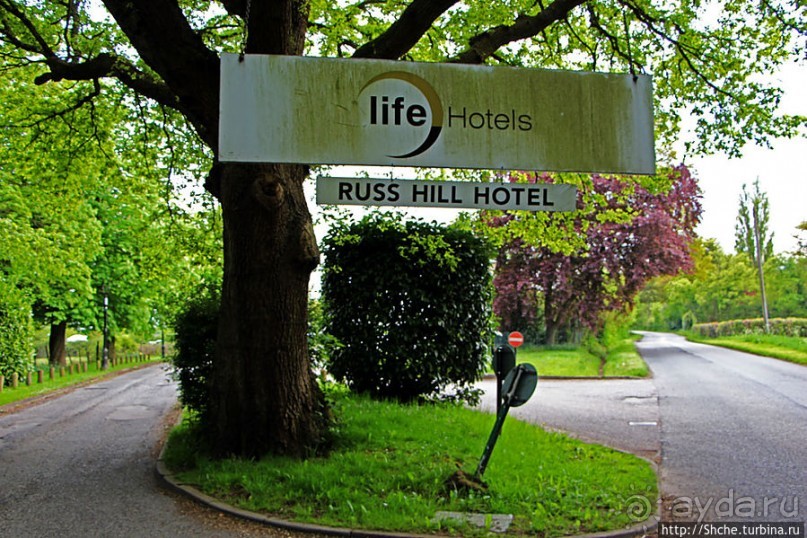 Вечером на природе в окрестностях Гатвика. Сельская идиллия