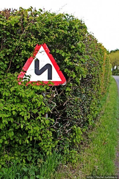 Вечером на природе в окрестностях Гатвика. Сельская идиллия