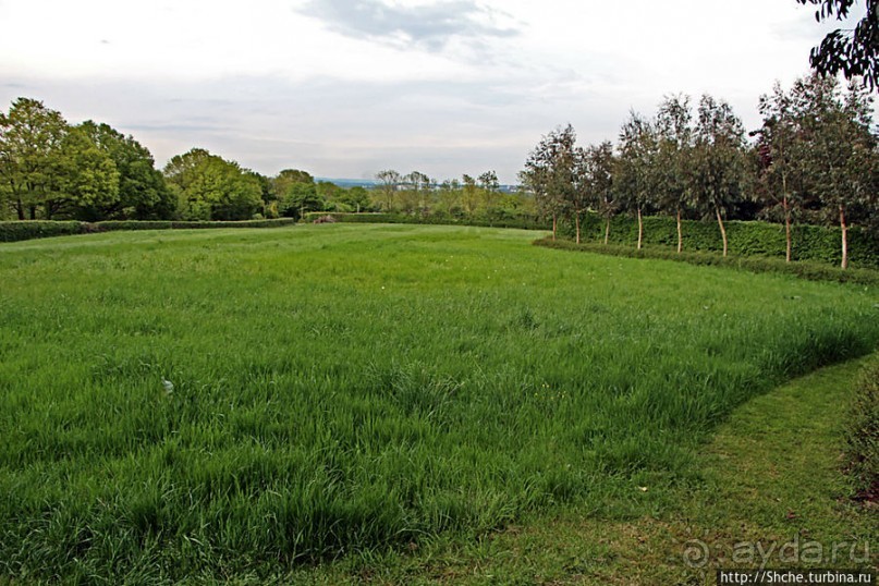 Вечером на природе в окрестностях Гатвика. Сельская идиллия