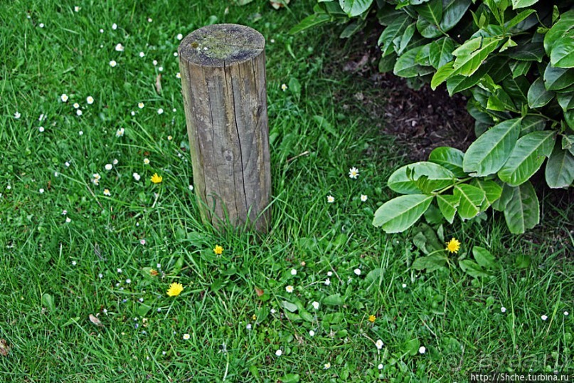 Вечером на природе в окрестностях Гатвика. Сельская идиллия