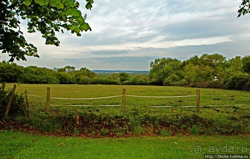 Вечером на природе в окрестностях Гатвика. Сельская идиллия