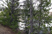 фото Айдахо