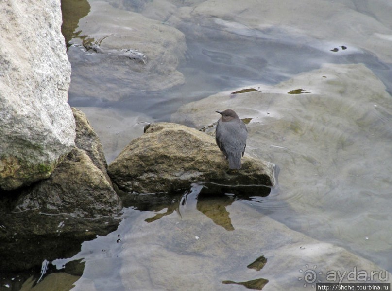Jackson Lake Dam - дамба на озере Джексон