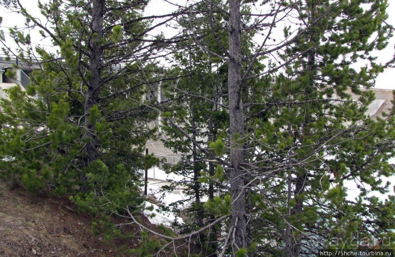 Jackson Lake Dam - дамба на озере Джексон