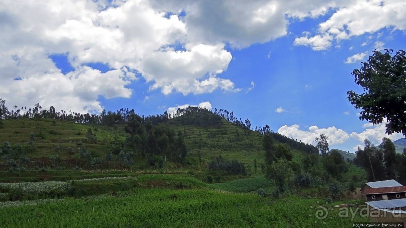 Картинки из Руанды, незапланированное знакомство