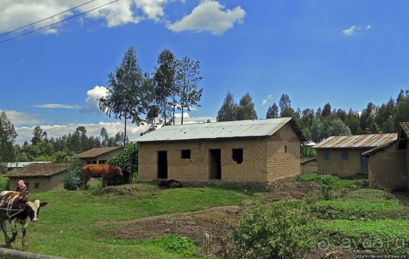 Картинки из Руанды, незапланированное знакомство