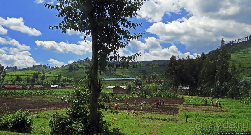Картинки из Руанды, незапланированное знакомство