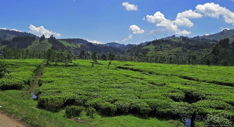 фото Кигали