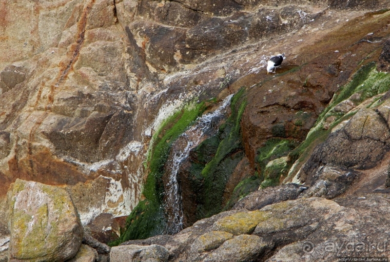 Конец земли... английской