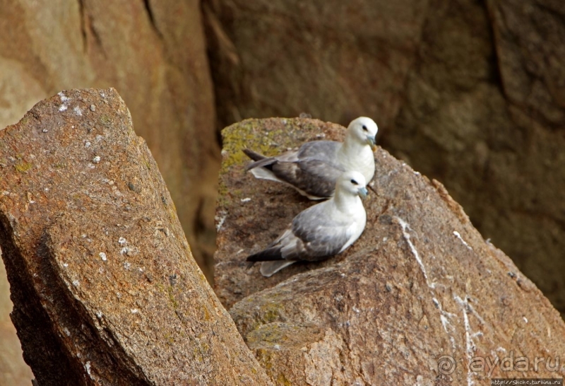 Конец земли... английской