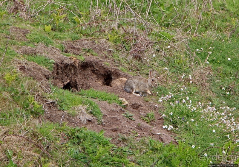Конец земли... английской