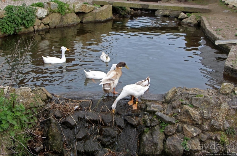 Конец земли... английской
