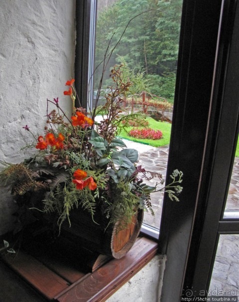 Хорошее место поесть-отдохнуть по пути к венгерской границе