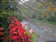 Хорошее место поесть-отдохнуть по пути к венгерской границе