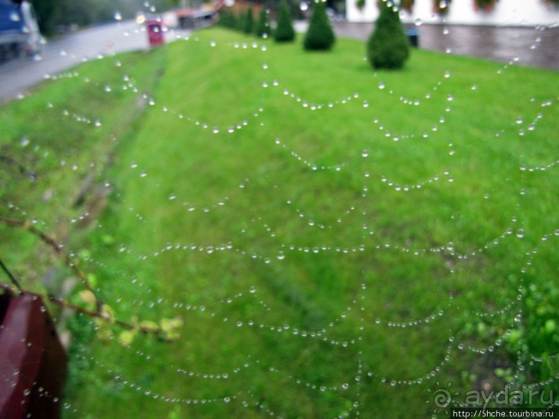 Хорошее место поесть-отдохнуть по пути к венгерской границе