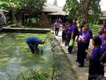 На денек из шумного Бангкока