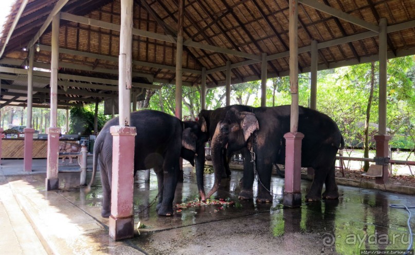 На денек из шумного Бангкока