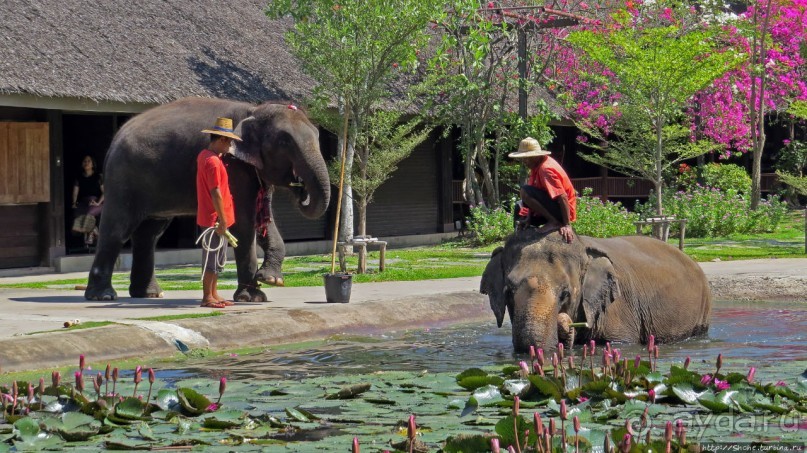 На денек из шумного Бангкока
