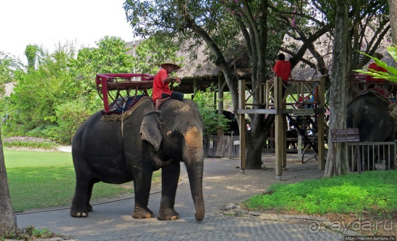 На денек из шумного Бангкока