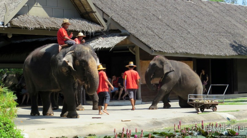На денек из шумного Бангкока