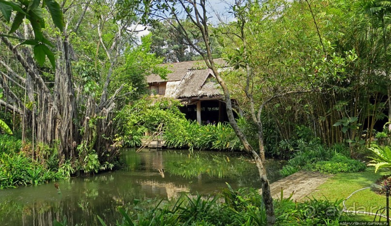 На денек из шумного Бангкока