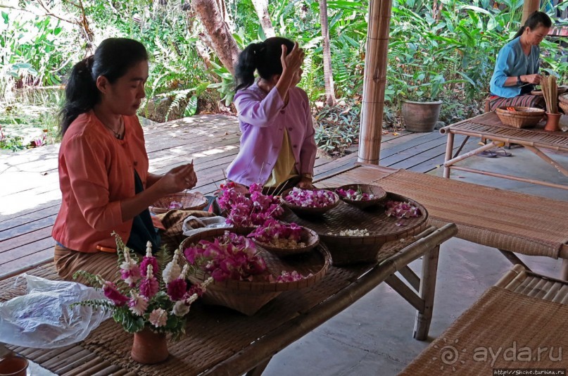 На денек из шумного Бангкока