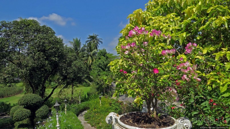 На денек из шумного Бангкока