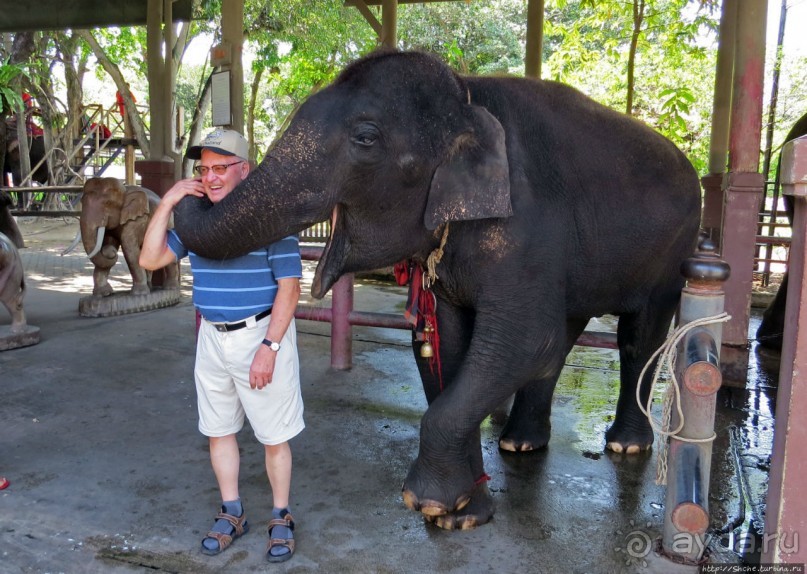 На денек из шумного Бангкока