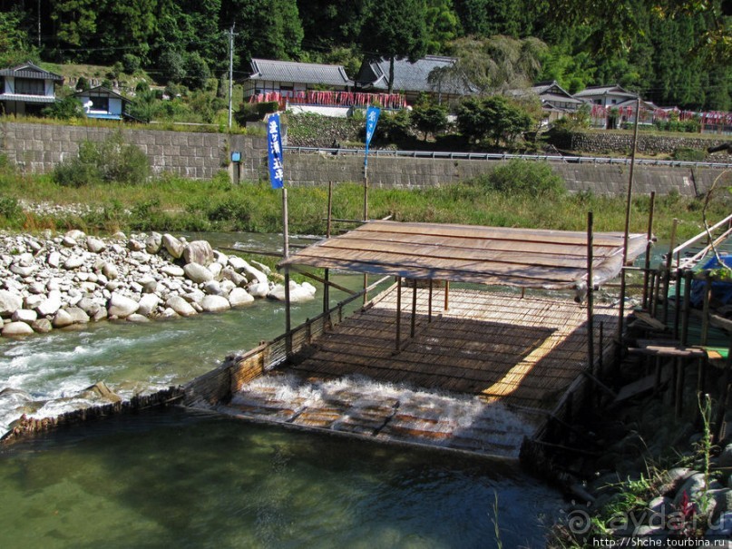 "A taste of NIPPON". Вкус 8 - рыба айю