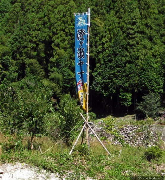 "A taste of NIPPON". Вкус 8 - рыба айю