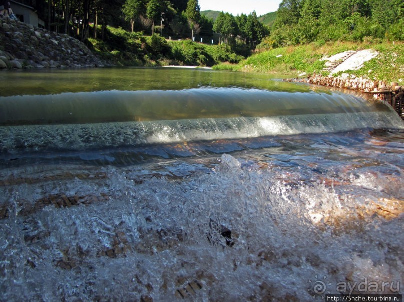 "A taste of NIPPON". Вкус 8 - рыба айю