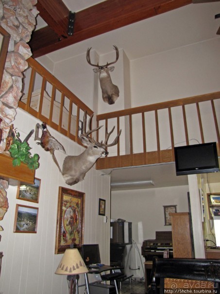 Недорогой мотель возле Брайс-каньона