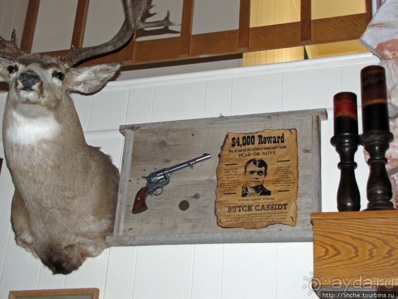 Недорогой мотель возле Брайс-каньона