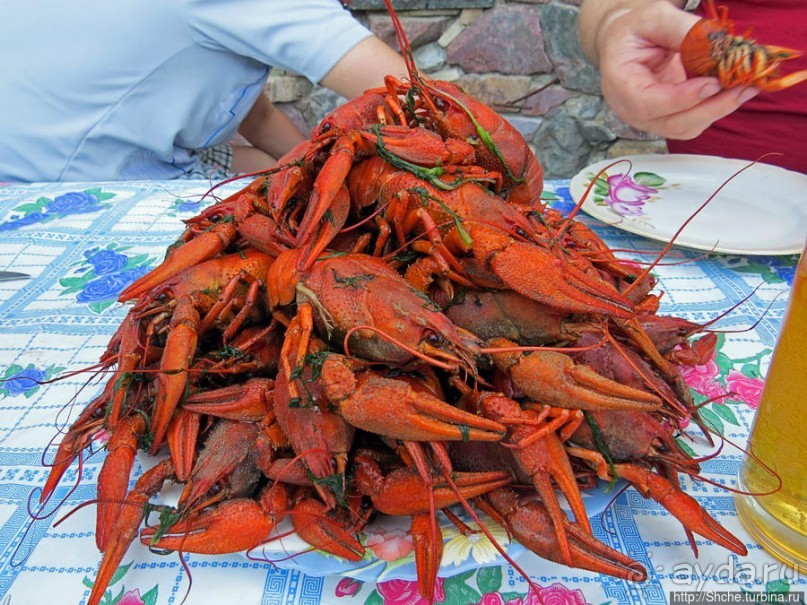 Двое в лодке