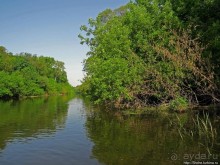 Двое в лодке