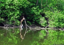 Двое в лодке