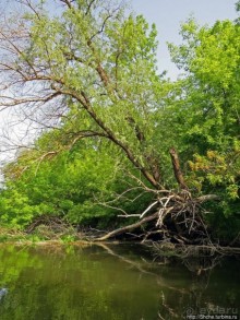 Двое в лодке