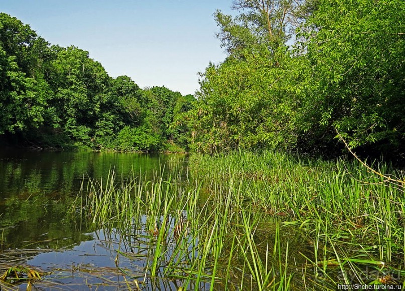 Двое в лодке