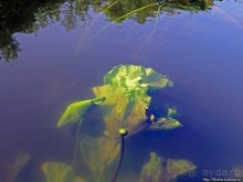 Двое в лодке