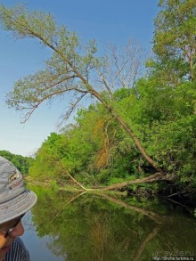 Двое в лодке