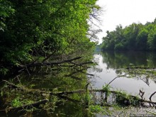 Двое в лодке