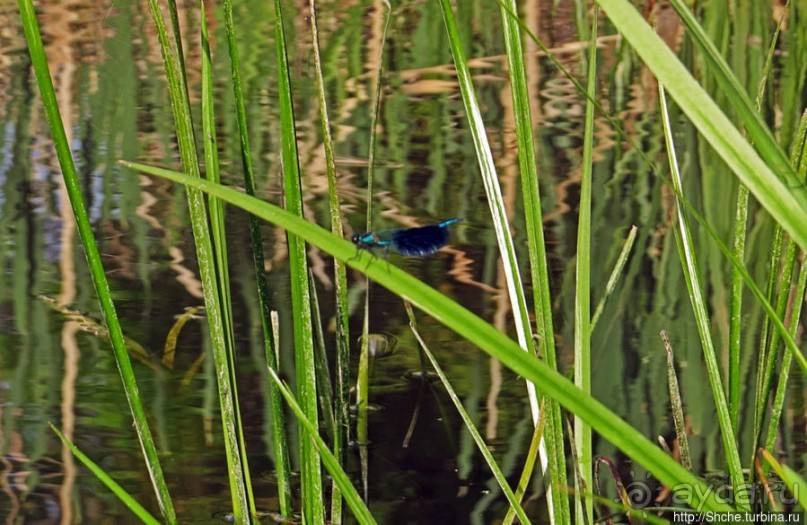 Двое в лодке