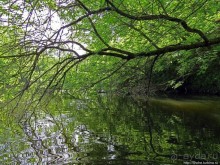 Двое в лодке