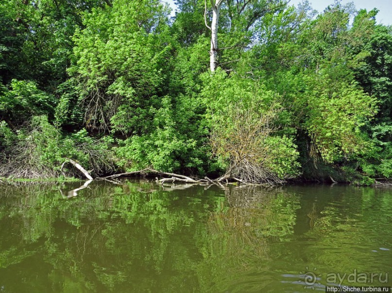 Двое в лодке