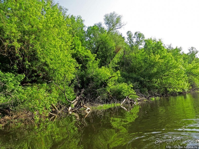 Двое в лодке