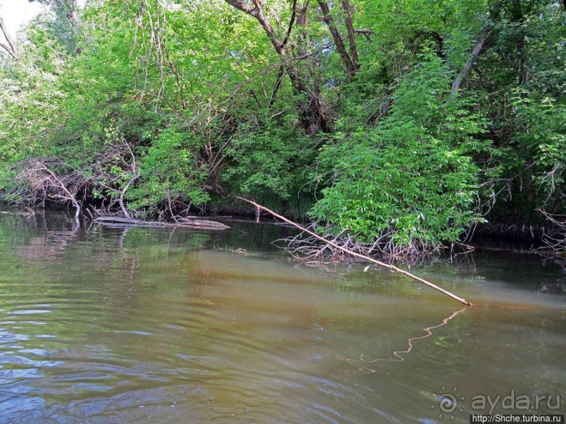 Двое в лодке