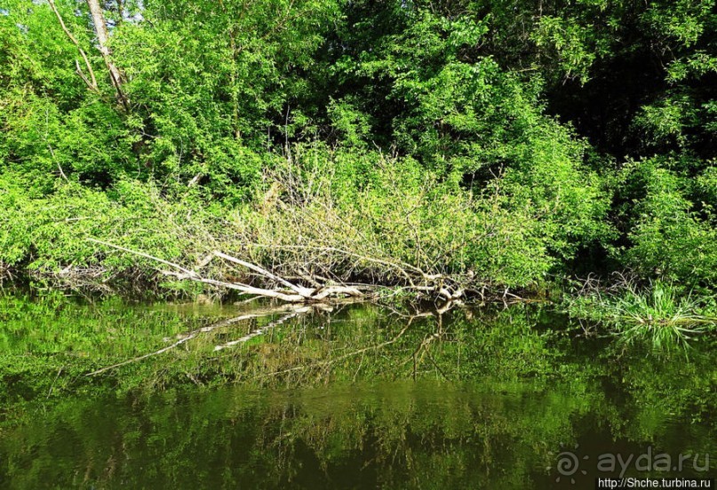 Двое в лодке